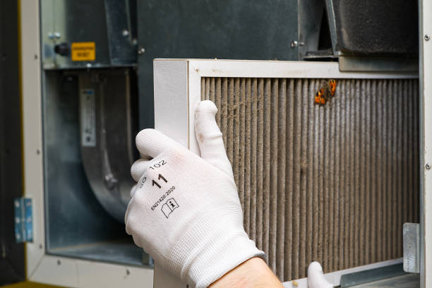 Best Affordable Duct Cleaning Services  in Nutter Fort, WV